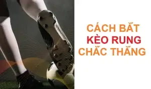 Read more about the article Kèo rung W88 – Cách bắt kèo rung chắc thắng dành cho các tân thủ