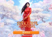 Sakura Fortune W88: Slot Game Siêu Đẹp Có Tỷ Lệ Thưởng Lớn